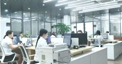 凍干餅干方便食品一站式代加工供求信息平臺(tái)與咨詢服務(wù)